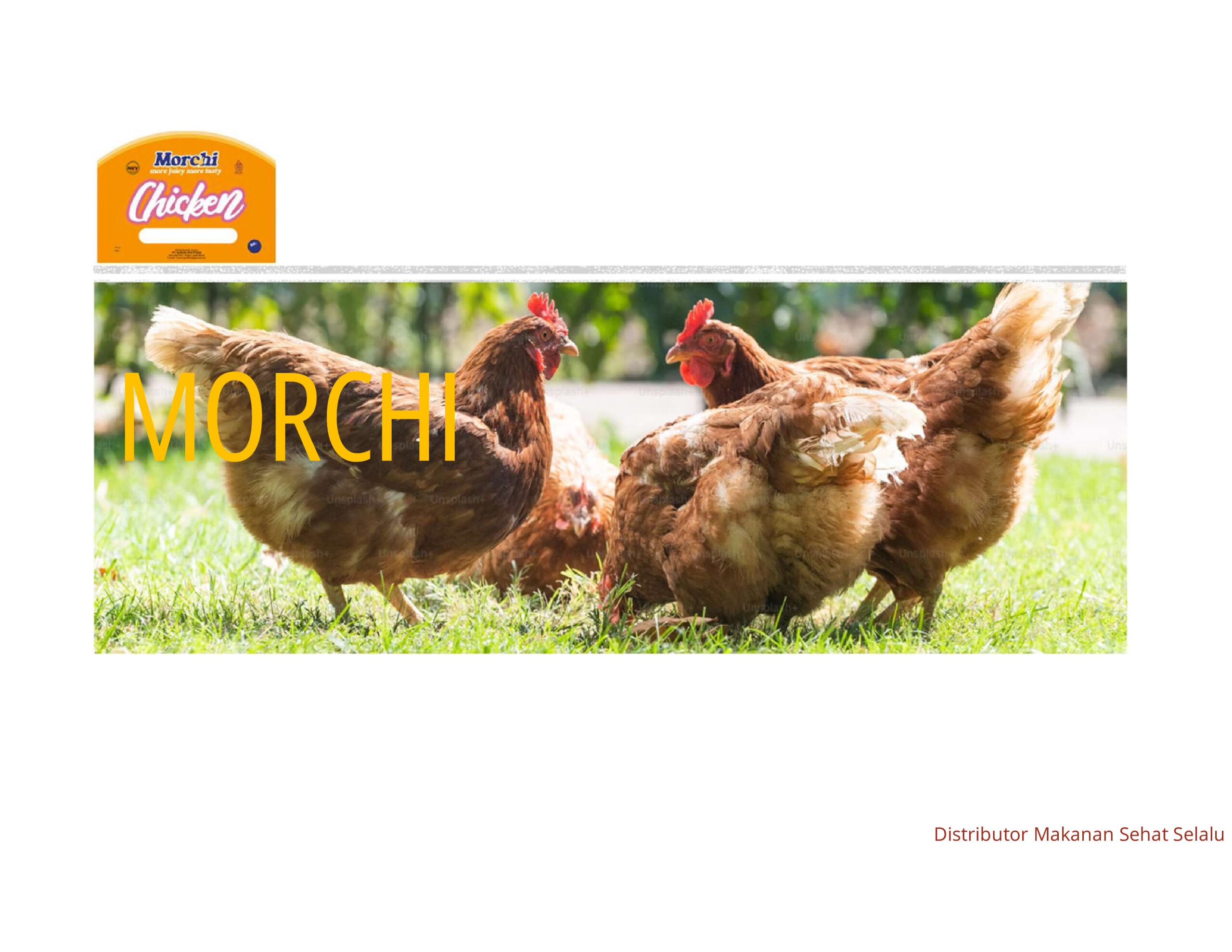 Menggunakan  ayam pilihan terbaik sebagai bahan baku pembuatan produk kami
